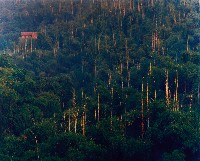 藏品(彩竹的故鄉)的圖片