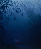 藏品(晨霧)的圖片