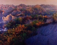 藏品(彩竹的故鄉)的圖片