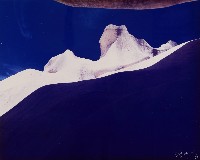 藏品(大自然的傑作)的圖片