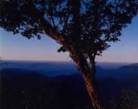 藏品(黎明三部曲)的圖片