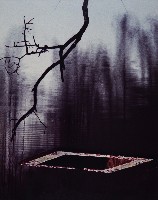 藏品(枯(1))的圖片