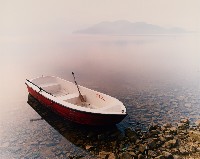 藏品(無名)的圖片