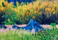 藏品(無名)的圖片