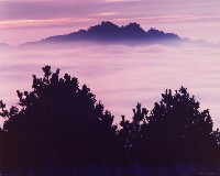 藏品(無名)的圖片