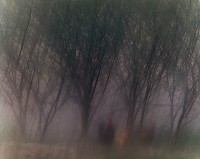 藏品(無名)的圖片