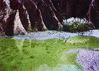 藏品(月世界芒花系列)的圖片