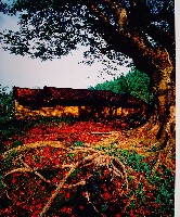 藏品(月世界古厝系列)的圖片