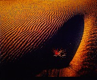 藏品(濱海沙丘系列)的圖片