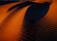 藏品(濱海沙丘系列)的圖片