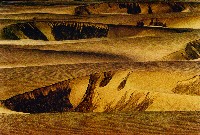 藏品(濱海沙丘系列)的圖片