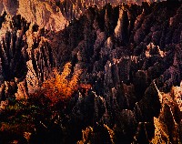 藏品(月世界彩竹系列)的圖片