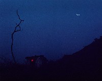 藏品(夢幻月世界系列)的圖片