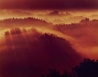 藏品(夢幻月世界系列)的圖片