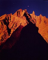 藏品(夢幻月世界系列)的圖片