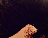 藏品(夢幻月世界系列)的圖片