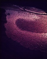 藏品(夢幻月世界系列)的圖片