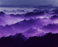 藏品(夢幻月世界系列)的圖片