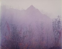 藏品(夢幻月世界系列)的圖片