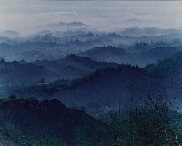 藏品(夢幻月世界系列)的圖片