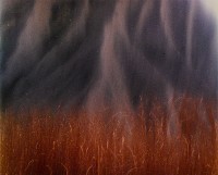 藏品(夢幻月世界系列)的圖片