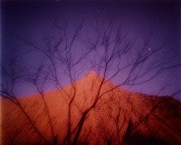 藏品(夢幻月世界系列)的圖片