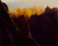 藏品(夢幻月世界系列)的圖片