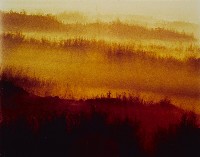 藏品(夢幻月世界系列)的圖片