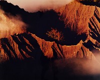 藏品(無名)的圖片