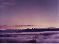 藏品(無名)的圖片