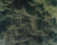 藏品(無名)的圖片