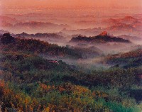 藏品(無名)的圖片