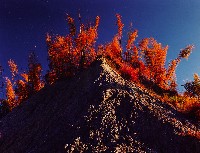 藏品(彩竹的故鄉系列-1995年12月 左鎮山月湖)的圖片