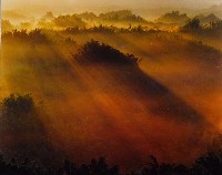 藏品(無名)的圖片