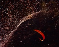 藏品(無名)的圖片