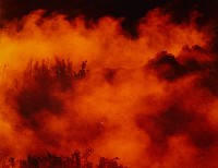 藏品(彩竹的故鄉系列-1996年8月 左鎮二寮)的圖片