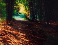 藏品(彩竹的故鄉系列-1996年7月 左鎮青瓜寮)的圖片