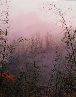 藏品(無名)的圖片