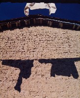 藏品(無名)的圖片