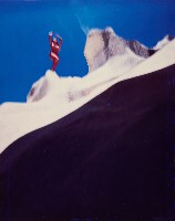 藏品(美之頌)的圖片