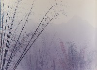 藏品(無名)的圖片