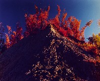 藏品(彩竹的故鄉系列-1995年12月 左鎮山月湖)的圖片