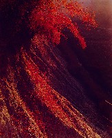 藏品(彩竹的故鄉系列-1996年1月 左鎮二寮)的圖片