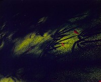 藏品(無名)的圖片