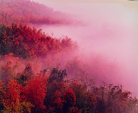 藏品(彩竹的故鄉系列-1994年3月 內門烏山頭)的圖片