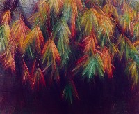 藏品(彩竹的故鄉系列-1997年2月 龍崎龍船窩)的圖片