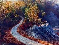 藏品(彩竹的故鄉系列-1996年1月 左鎮紅水泉)的圖片