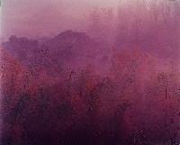 藏品(無名)的圖片