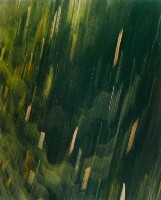 藏品(無名)的圖片