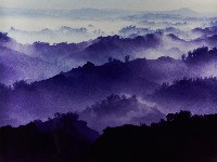 藏品(無名)的圖片